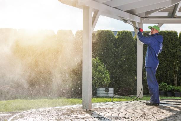Best House Exterior Washing  in Miles City, MT